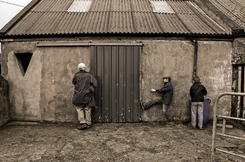 The Leahy horse farm in Lahinch is a delightful destination to photograph life as it happens in real-time. The Leahy boys are hard working and always eager to lend a hand, or foot in this case... closing the barn door with the late great David Lang.